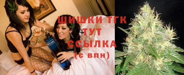 дживик Аркадак