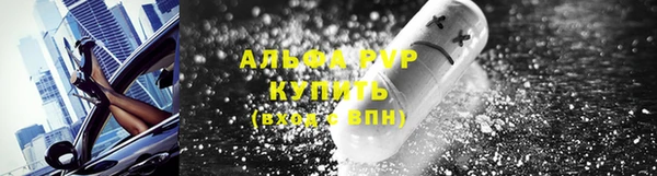 дживик Аркадак